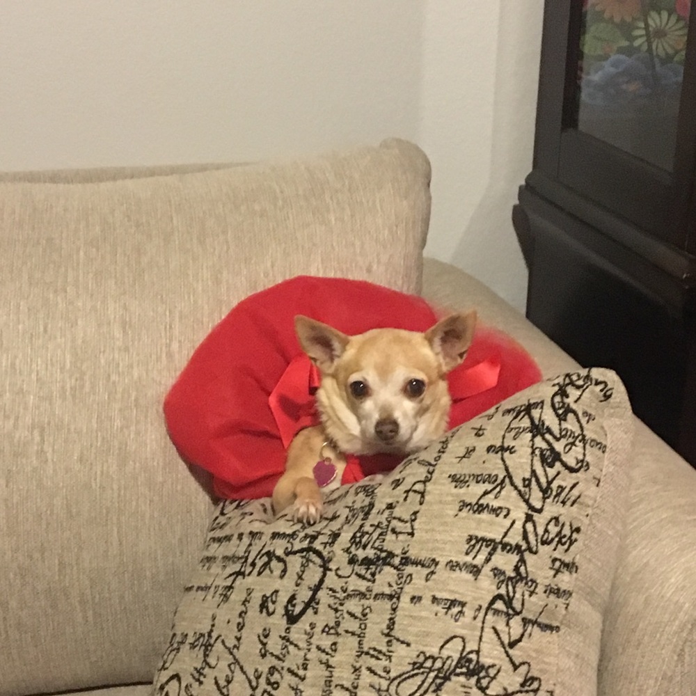 Meet your Posher, Melanie